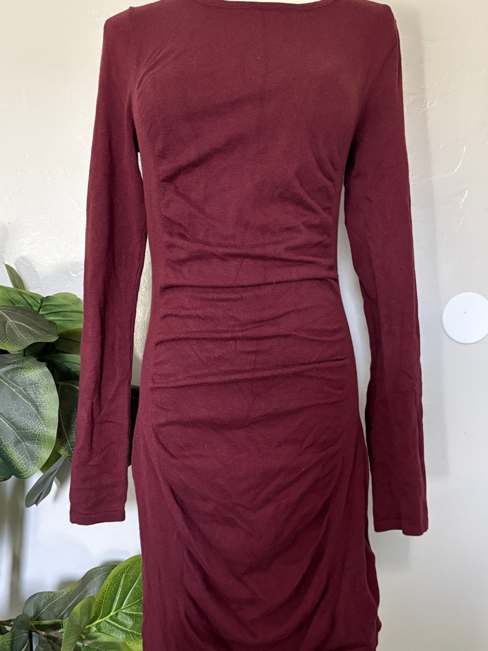 Express Long Sleeve Ruched Wine Dress